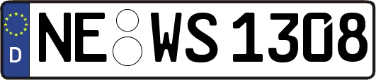 NE-WS1308