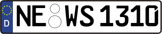 NE-WS1310