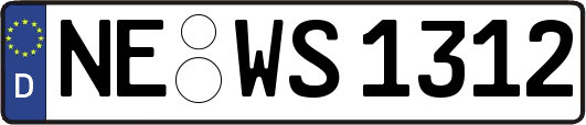 NE-WS1312