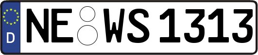 NE-WS1313