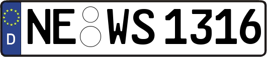NE-WS1316