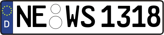 NE-WS1318