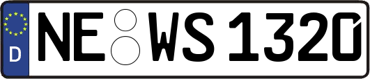 NE-WS1320