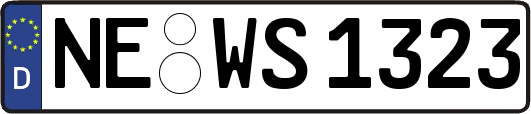 NE-WS1323