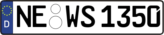 NE-WS1350