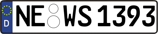 NE-WS1393