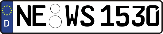 NE-WS1530