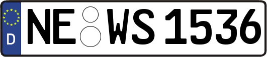 NE-WS1536