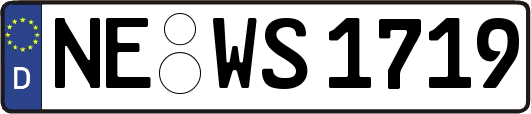 NE-WS1719