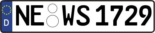 NE-WS1729