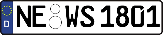 NE-WS1801