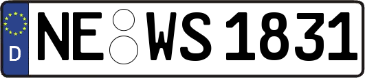 NE-WS1831
