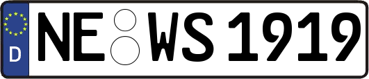 NE-WS1919