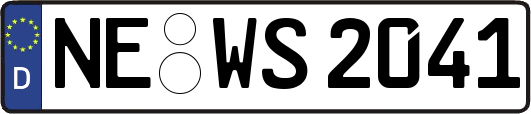 NE-WS2041