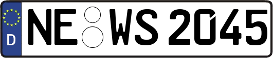 NE-WS2045