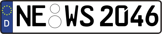 NE-WS2046