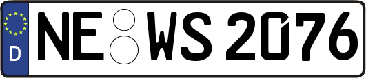 NE-WS2076