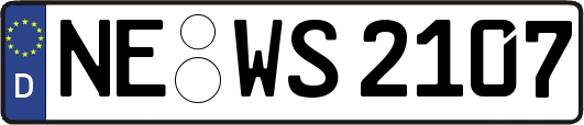 NE-WS2107