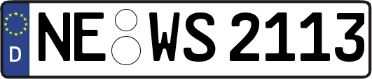 NE-WS2113