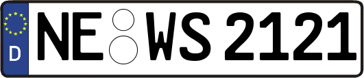 NE-WS2121