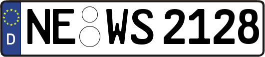 NE-WS2128