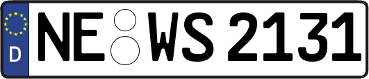 NE-WS2131