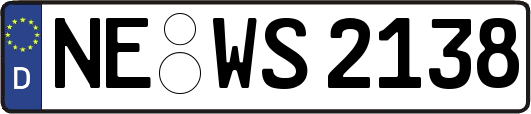 NE-WS2138