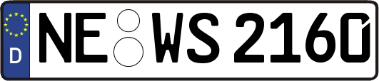 NE-WS2160
