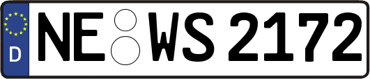 NE-WS2172