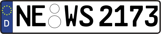NE-WS2173
