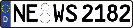 NE-WS2182