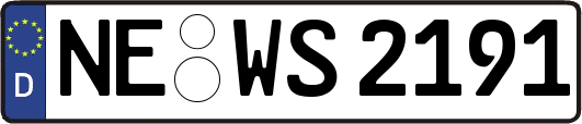 NE-WS2191