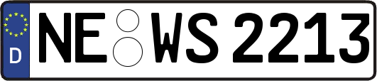 NE-WS2213