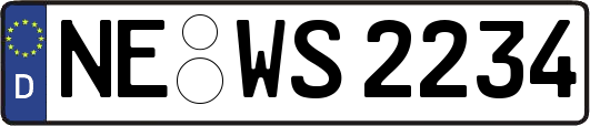 NE-WS2234