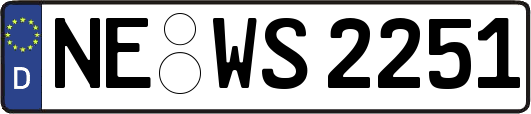NE-WS2251