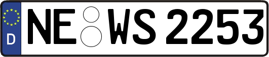 NE-WS2253