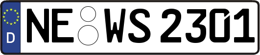 NE-WS2301