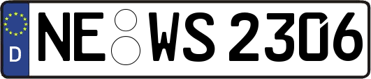NE-WS2306