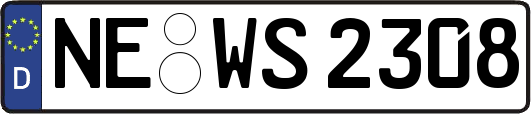 NE-WS2308