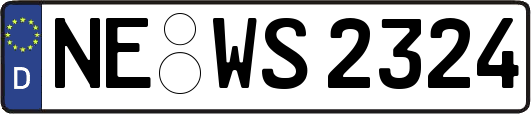 NE-WS2324