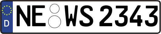NE-WS2343