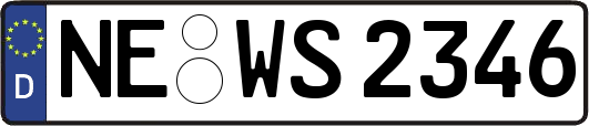 NE-WS2346