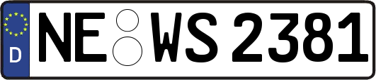 NE-WS2381