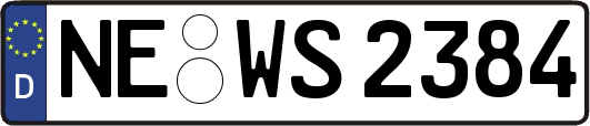 NE-WS2384