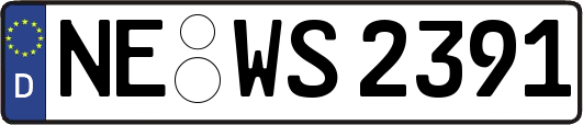 NE-WS2391