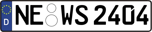 NE-WS2404