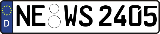 NE-WS2405