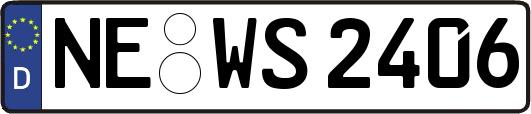 NE-WS2406
