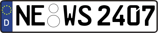 NE-WS2407