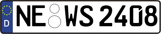 NE-WS2408